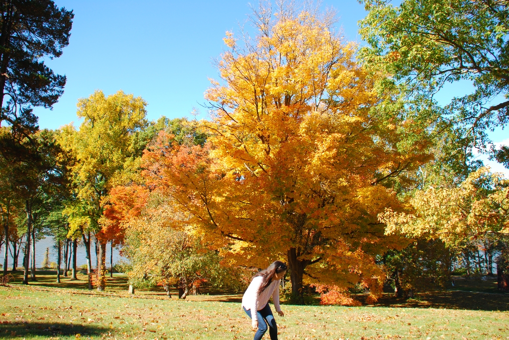 DSC_4397.JPG